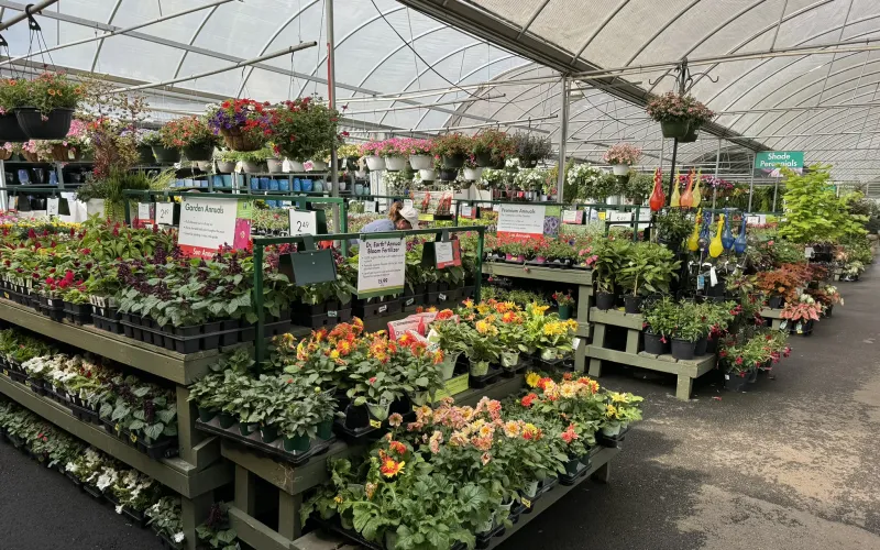 a large greenhouse with lots of flowers
