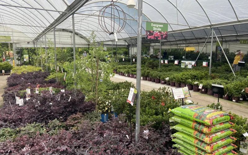 a greenhouse with plants and flowers