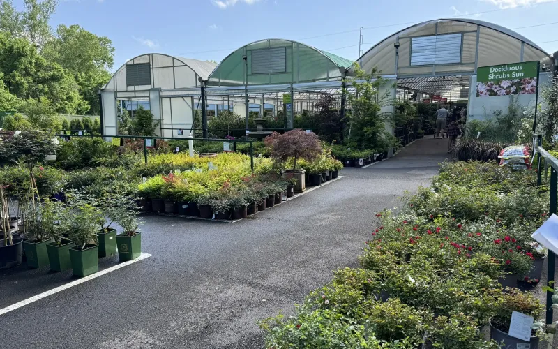 a building with a garden in front