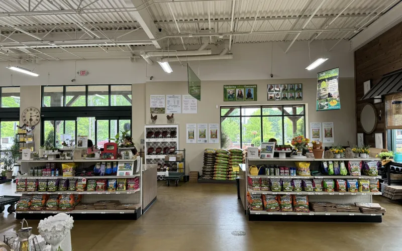 a store with shelves of items