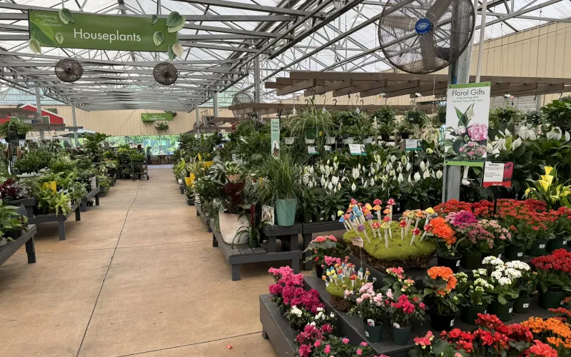 a large room with many plants in it