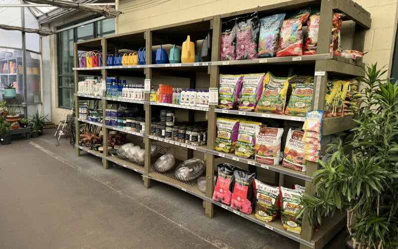 a store with shelves of food