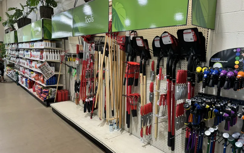 a store with a variety of ties