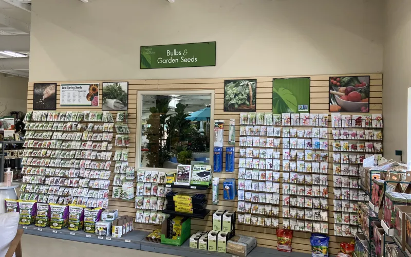 a store with shelves of items