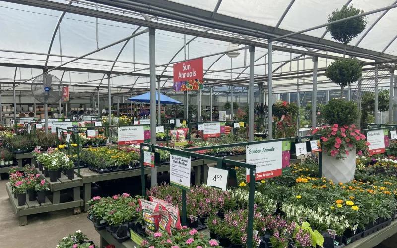 a flower shop with many flowers