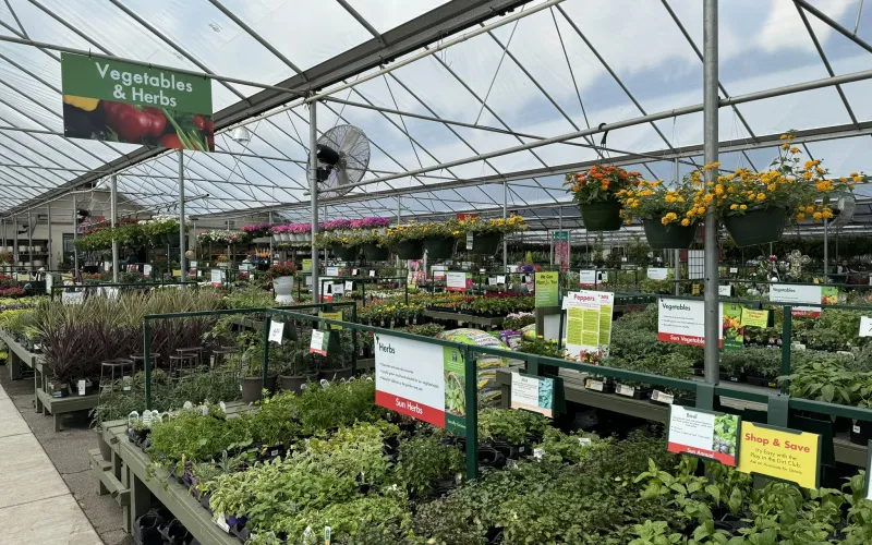 a market with plants and signs