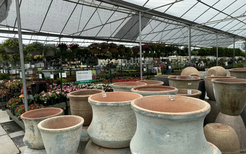 a large room with many vases