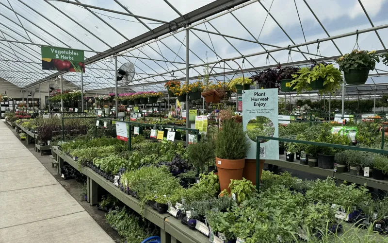 a greenhouse with plants and signs