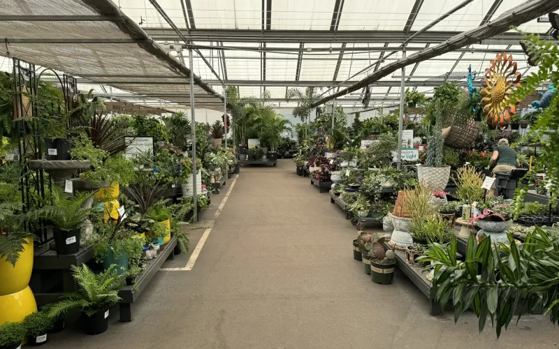 a large indoor market