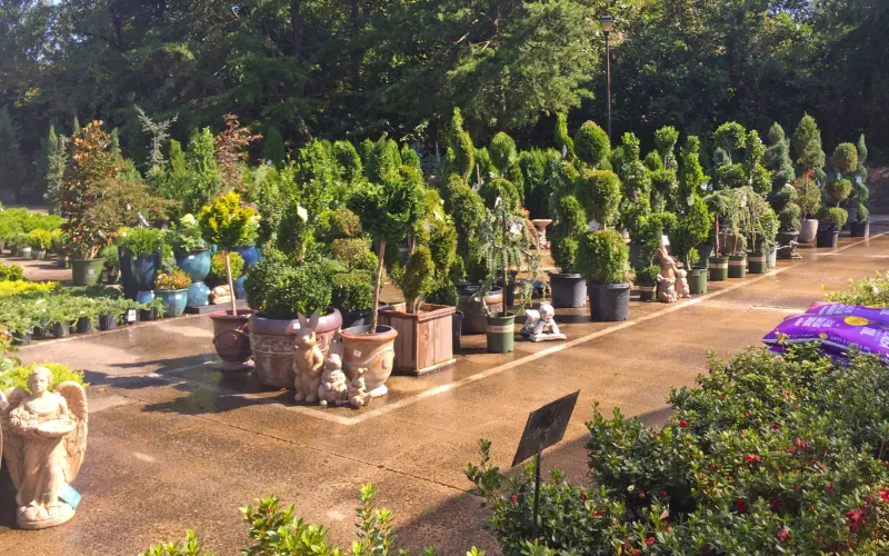 a group of people in a garden