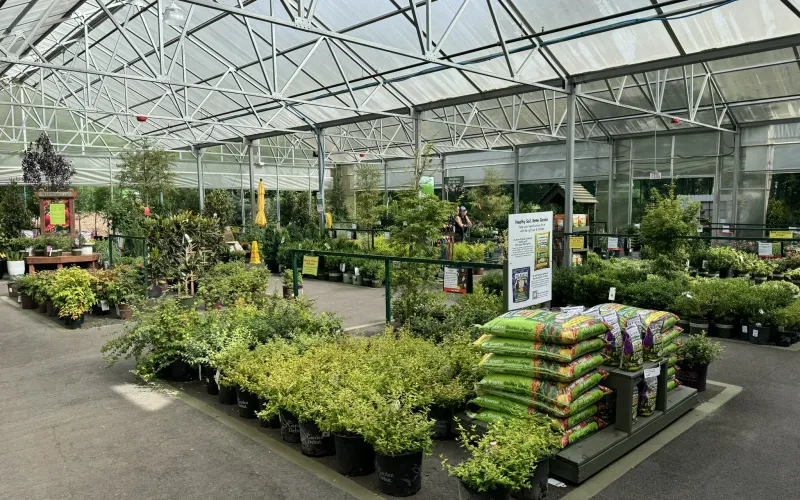 a large indoor planter garden