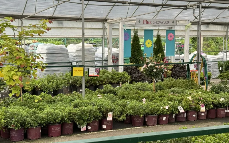 a greenhouse with plants and signs