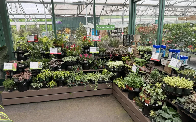 a large indoor market