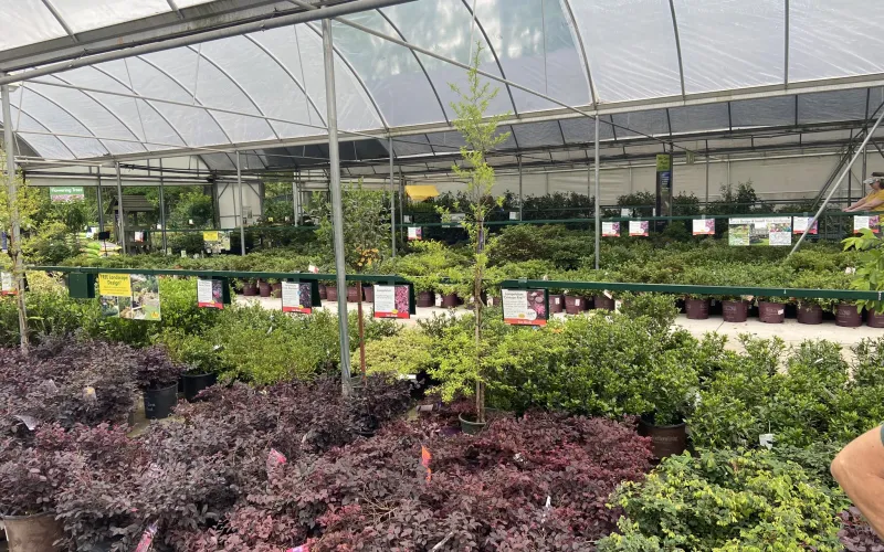 a large indoor garden