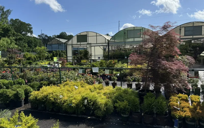 a building with many plants in front of it
