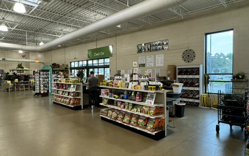 a person standing in a grocery store