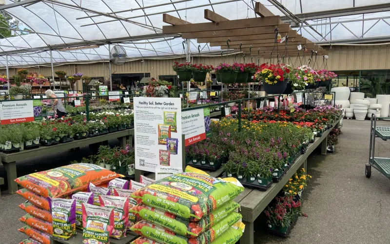 a market with lots of flowers