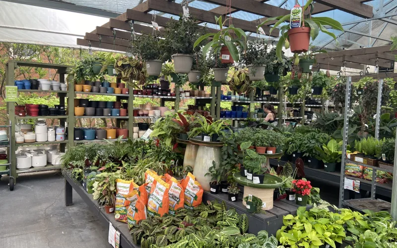 a market with lots of vegetables