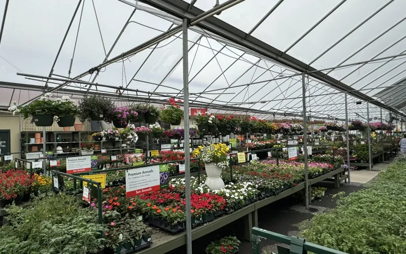 a greenhouse with many plants and flowers