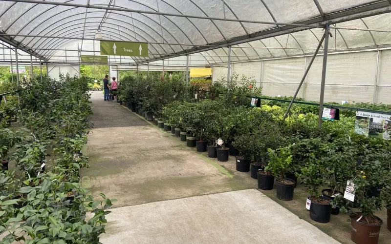 a greenhouse with plants and people