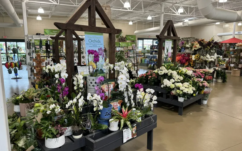 a flower shop with flowers