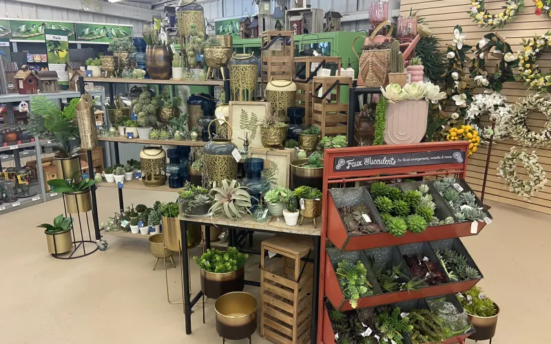 a store with many plants and flowers