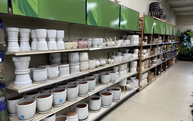 a shelf with cups on it