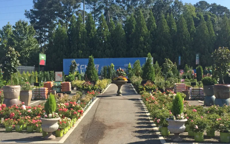 a group of people in a garden
