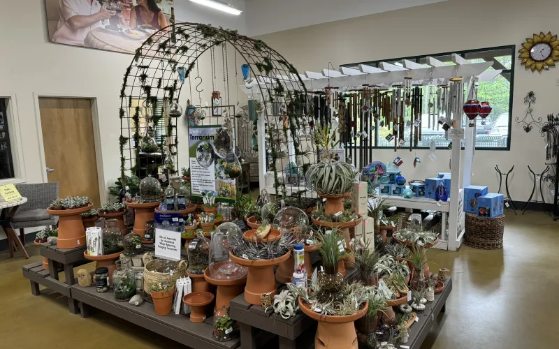 a room with many pots and plants