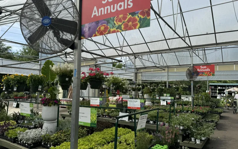 a large greenhouse with plants and signs