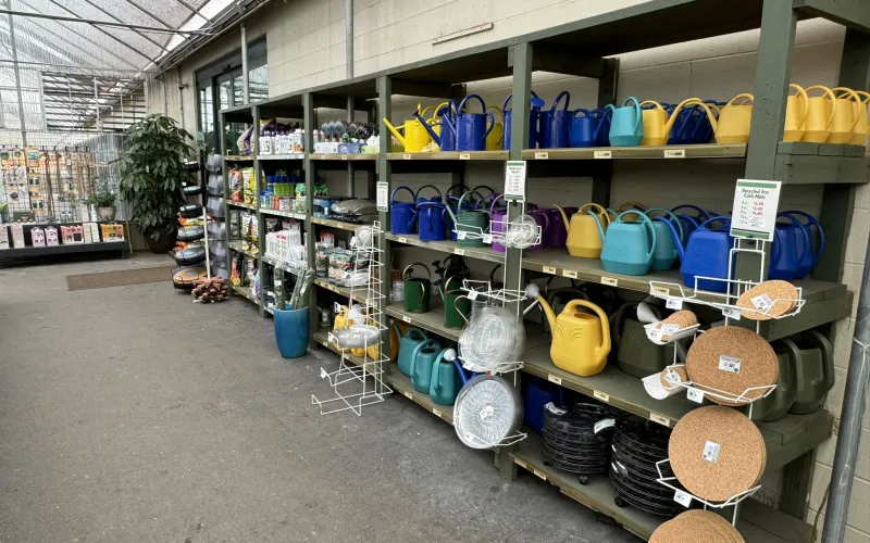 a store with many baskets and baskets