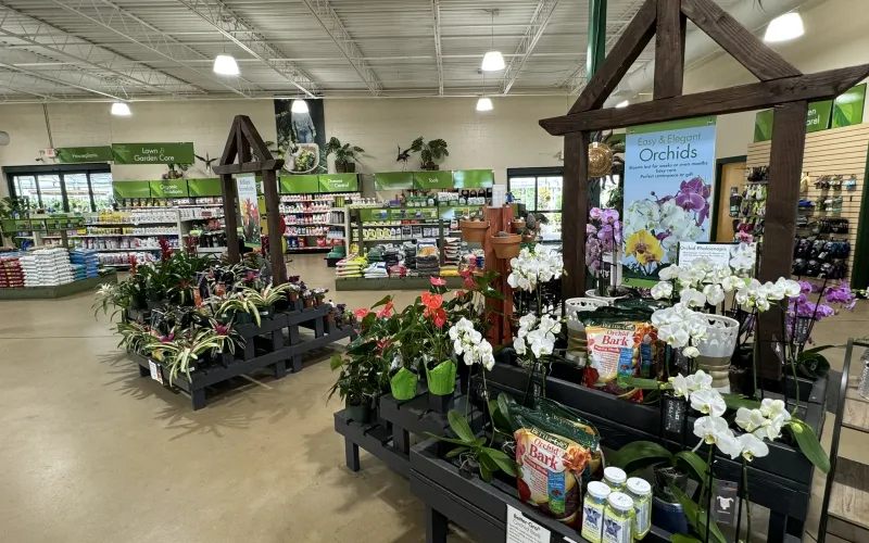 a flower shop with flowers