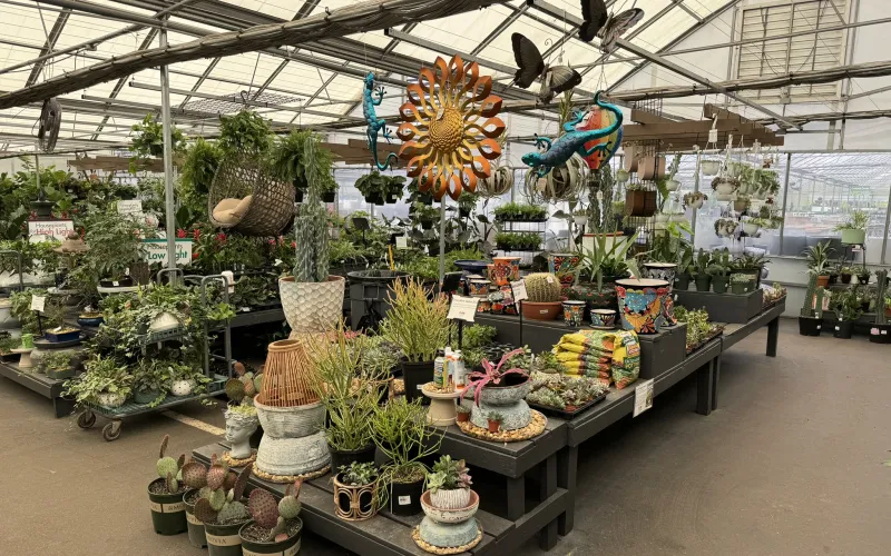 a large indoor market