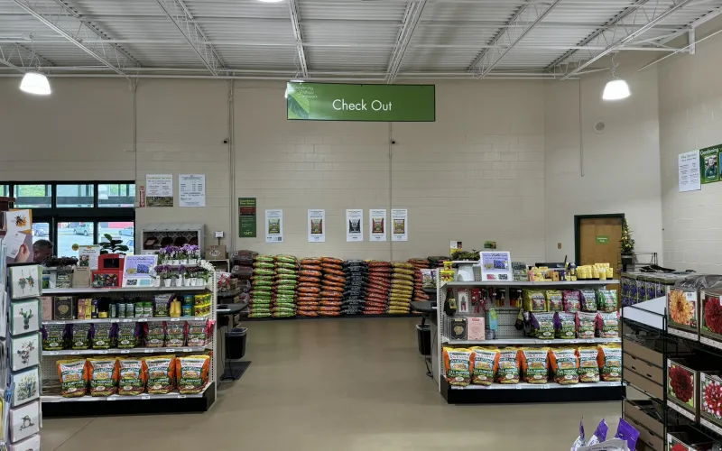 a store with shelves of food