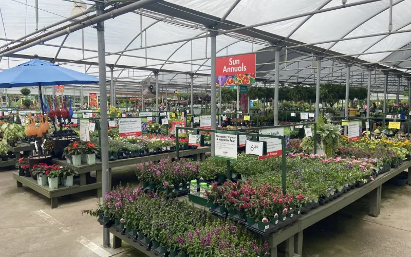 a market with lots of flowers