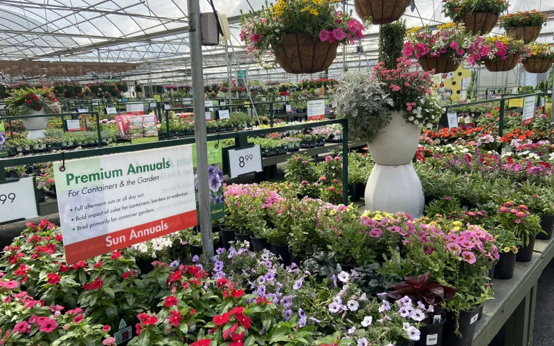 a flower shop with many flowers