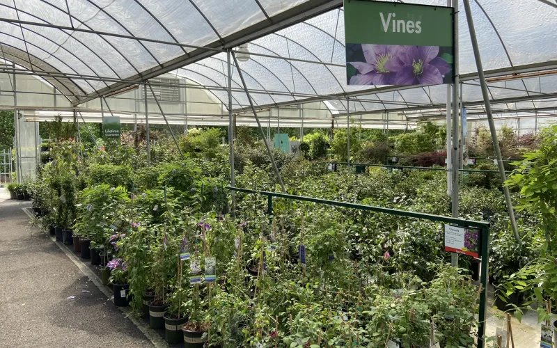 a greenhouse with plants and signs