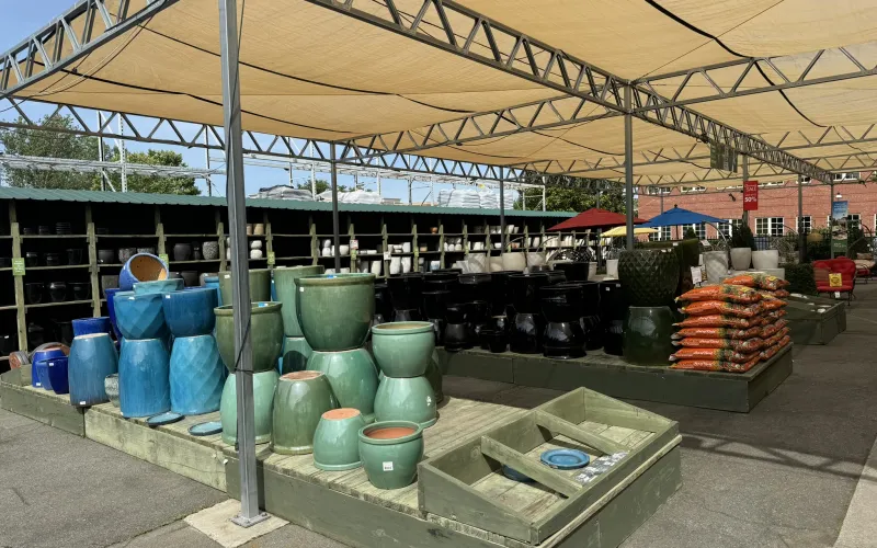 a large outdoor market