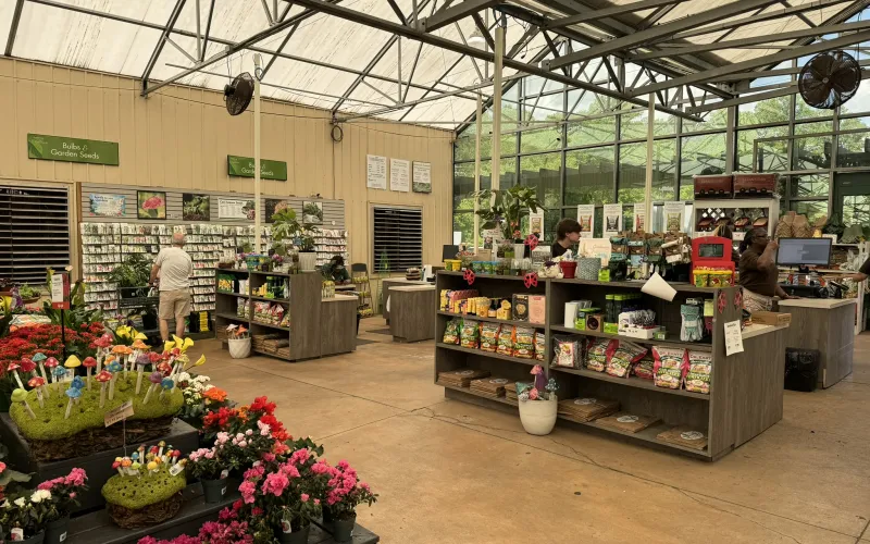 a large room with flowers and plants