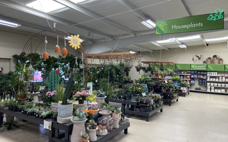 a store with many plants and flowers
