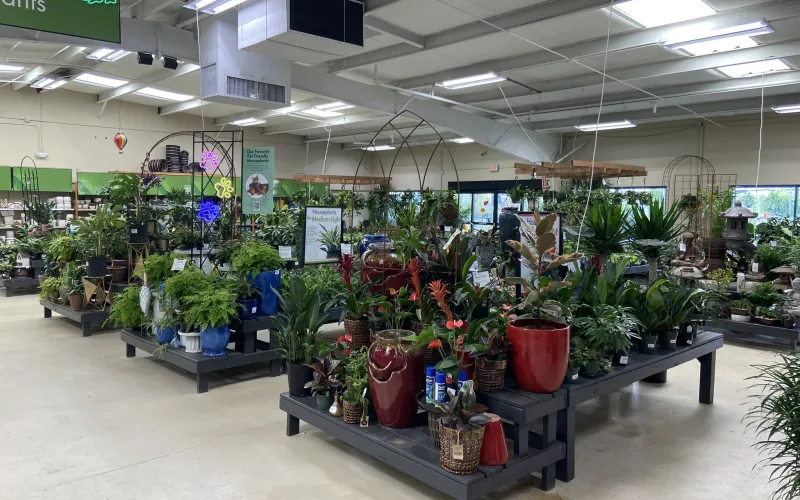 a store with plants and signs