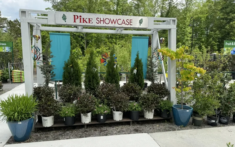 a sign with potted plants