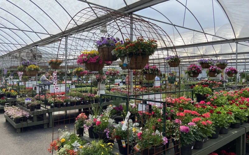 a greenhouse with many potted plants