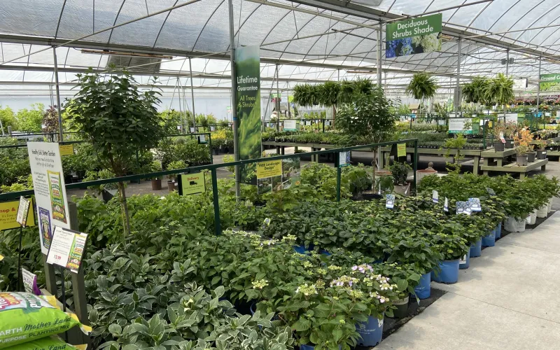 a greenhouse with plants and signs