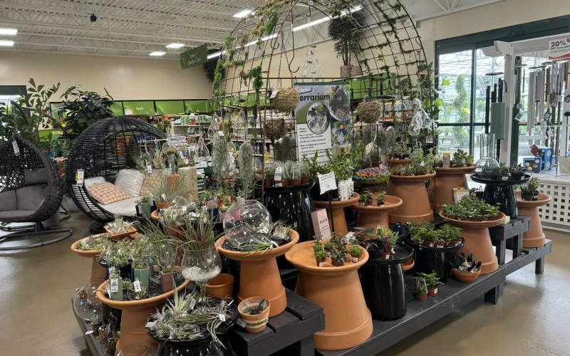 a store with many potted plants