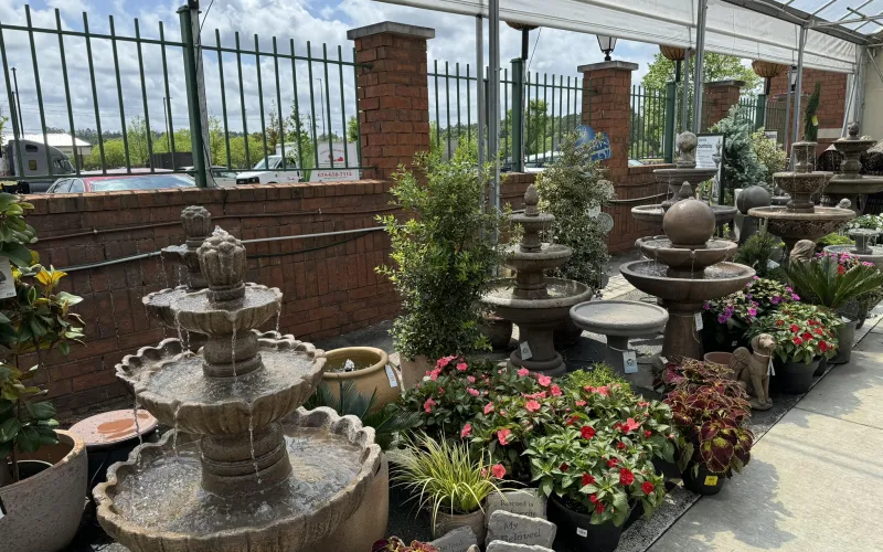 a garden with a fountain