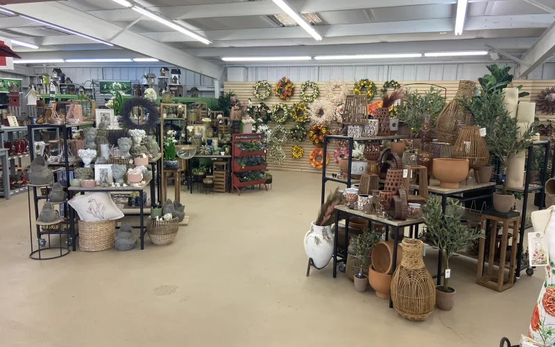 a store with many plants and baskets