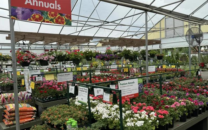 a flower market with lots of flowers