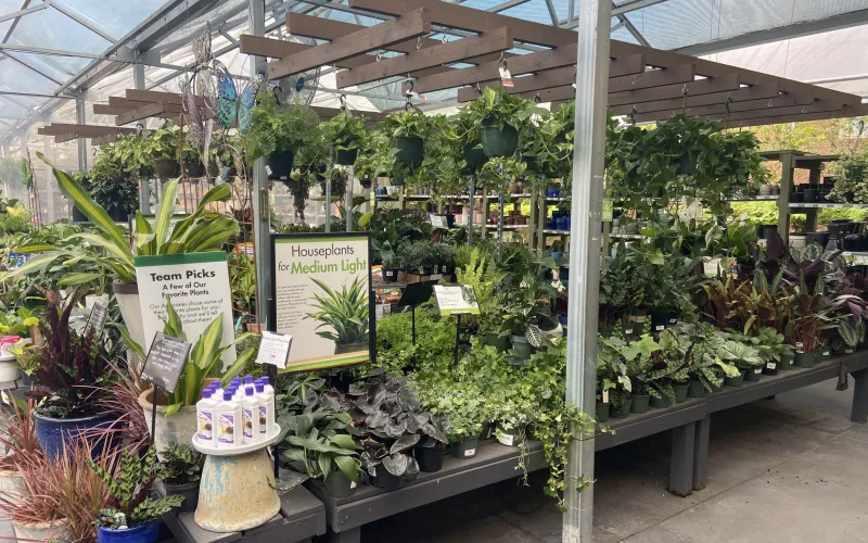 a greenhouse with plants and signs