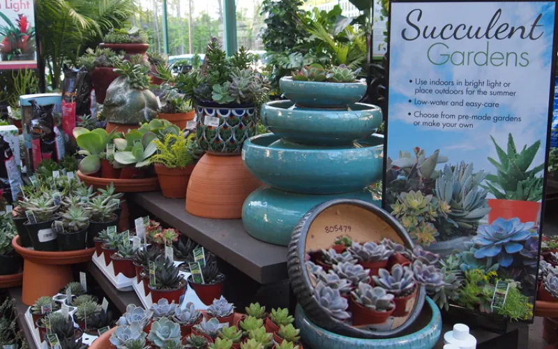 a group of people sitting at a fruit stand